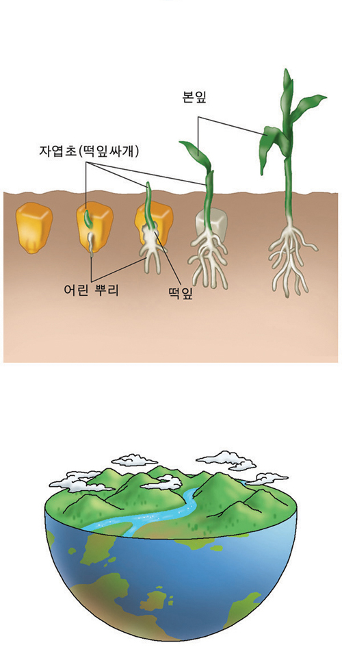 미래엔 